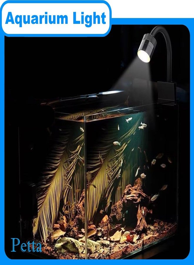 Petta Clip On Aquarium Light with Timer for 1-3 Gal Fish Tank, USB Focus Light for Plants, Terrariums & Coral (Yellow, Warm White, White) Adjustable Focus/Brightness, PA361-4 - Image 2